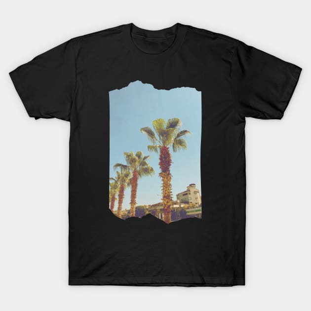 Pretty picture of a Palm Tree. Pretty Palm Trees Photography design with blue sky T-Shirt by BoogieCreates